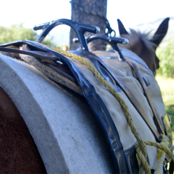 Mule Saddle Pads